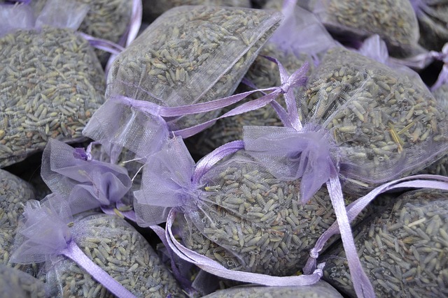 Equipo de profesionales trabajando juntos en un espacio de coworking luminoso en Madrid con notas y bocetos en la pared